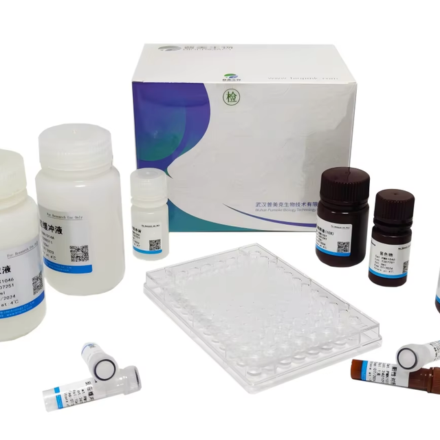 2X SYBR Green QPCR Master Mix, Hot Start Taq Polymerase, Includes ROX Dye