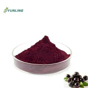 高品質プレミアムアサイベリーフリーズドライパウダー10:1オーガニックアサイベリーエキスジュースパウダー - Product Image 1