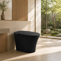 WC intelligent électrique avec bidet intégré, ensemble de toilettes intelligentes, cuvette de toilettes en céramique, toilettes intelligentes entièrement automatiques