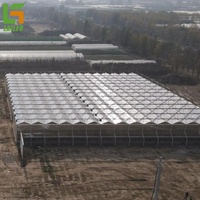 Multi-Span Hydrocultuur Systeem Kassen Commerciële Winter Polycarbonaat Kas