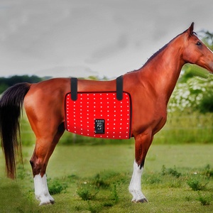 Équipement de thérapie équine OEM, couverture de thérapie pour chevaux à lumière rouge 660nm 850nm, équipement de thérapie pour chevaux à infrarouge lointain détachable pour l'écurie - Product Image 2