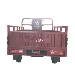 Tricycle de cargaison de moteur refroidi par air 250cc le moins cher de vente en gros directe d'usine <span class=keywords><strong>moto</strong></span> de cargaison - Product Image 6