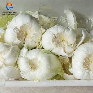 Factory Direct Supply Commercial Vegetable Cabbage Coring Machine 700-750pcs/h - Product Image 5