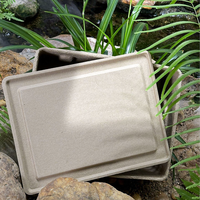 Emballage personnalisé haut de gamme en boîte de papier recyclé, compostable, écologique et biodégradable, pour produits ménagers moulés, portable, en soie