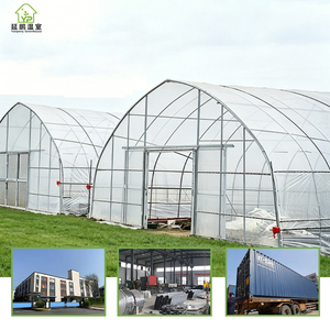 Invernadero Agrícola Tipo <span class=keywords><strong>Túnel</strong></span>, Tubo de Acero Galvanizado, Policarbonato, Semillas de Vegetales - Product Image 1