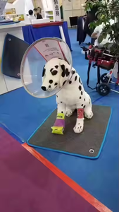 Hai tái sử dụng chất lượng Chăn ngủ vật nuôi chăm sóc thú y nước nóng lên hệ thống yên tĩnh tuần hoàn chăn nước nóng lên - Product Image 2