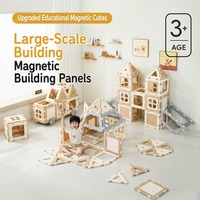 Panneaux de construction magnétiques, jouet de construction à grande échelle, blocs de construction DIY pour maison, château et voiture pour enfants