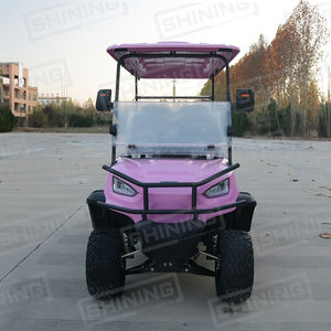 72v 100amp स्टील बैटरी 6 सीटें 4kw एसी मोटर इलेक्ट्रॉनिक ब्रेक स्ट्रीट कानूनी इलेक्ट्रिक गोल्फ कार्ट - Product Image 5