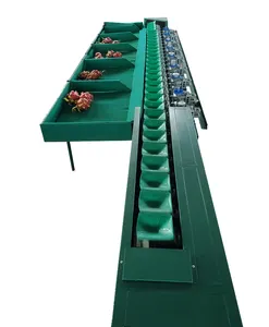 Automatic Carrot avocado Vegetable Tomato Orange Fruit Product Weight Washing Straight Line Sorting Machine