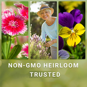 Grande collection <span class=keywords><strong>de</strong></span> fleurs pour la plantation en jardin, variétés anciennes non-OGM, zinnias attirant les pollinisateurs, bouquets à couper - Product Image 6