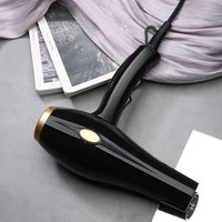 Sèche-cheveux ionique professionnel pour salon et usage domestique, moteur AC 2000W, protection contre la surchauffe, bouton de refroidissement, 2 vitesses