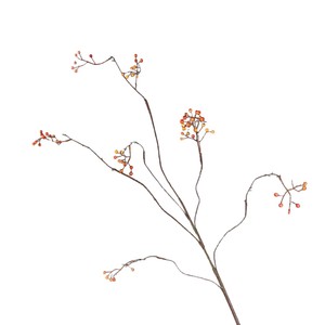 Bouquet de fruits artificiels Meng Jie, gingembre, 30cm-100cm, baies rouges orangées, décoration d'intérieur, arrangement de fleurs séchées - Product Image 4