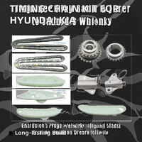Bộ Kit Xích Thời Gian Cao Cấp Có Bộ Điều Chỉnh OEM 24300-2f008 24300-2f000 Cho Hyundai Cho Kia D4HA D4HB 2.2 Crdi Tình Trạng Mới