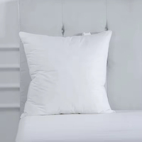 Oreiller carré en duvet de canard et de plumes de coton blanc de taille personnalisée en gros, insert d'oreiller pour hôtel