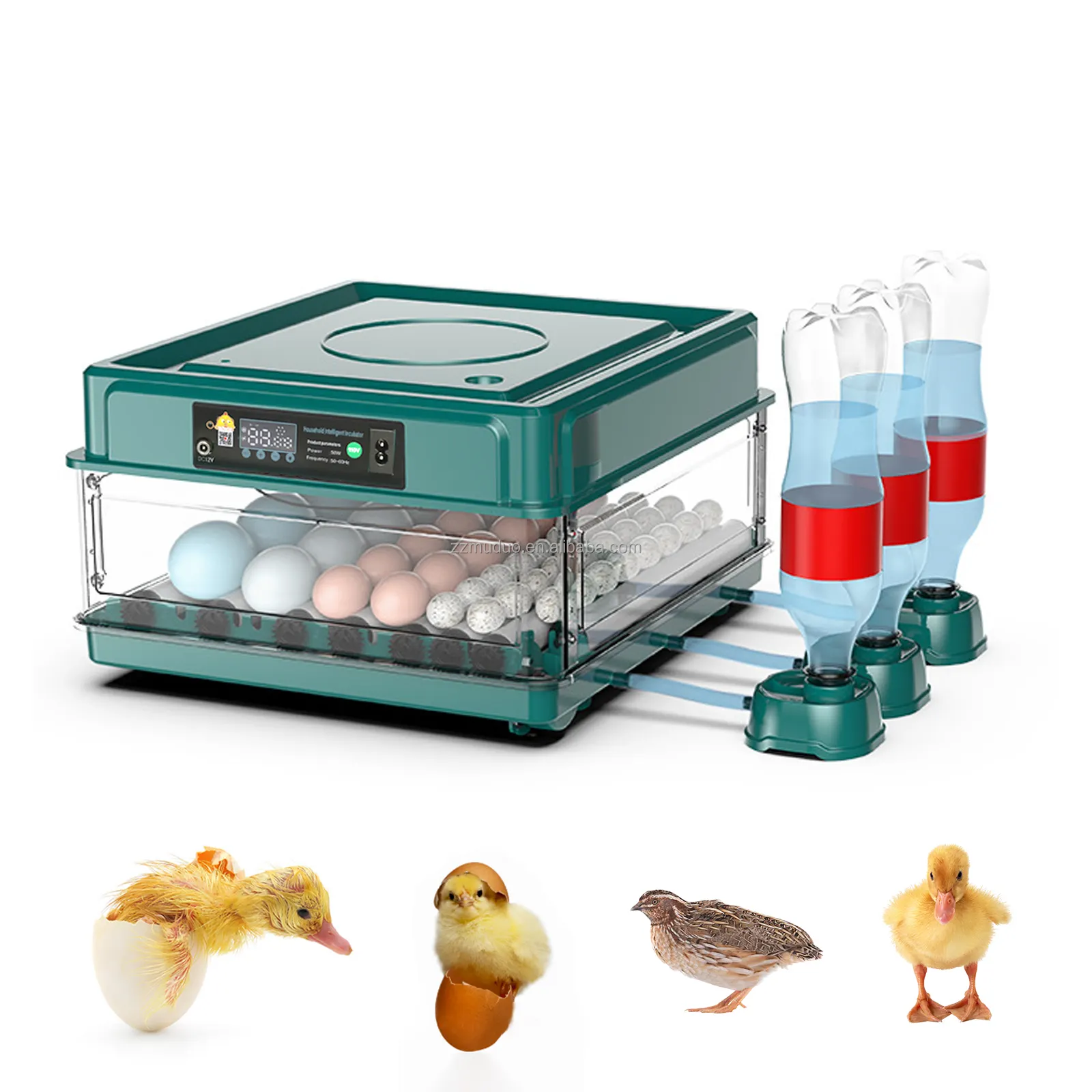 38 Eggs Incubator for Hatching Chicks Eggs Incubator Machine Fully Automatic Hatchery