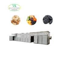 Aangepaste industriële hoog-efficiënte PLC-gestuurde roestvrijstalen 304 commerciële tunnel droogoven voor fruit met hoge suikergehalte, lade-type