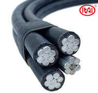 Cable ABC de 1KV de Baja Tensión, Cable Aéreo XLPE de Aluminio, 1 Hilera de Alambre Desnudo (Neutro/Tierra) para Uso en Construcción, 2*10mm JKYLJ 50A