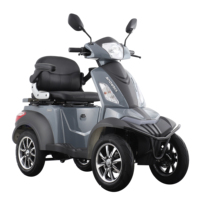 VISTA QUATER-1 EEC COC 1000W BATTERIE AU PLOMB POUR SCOOTER ÉLECTRIQUE 4 ROUES