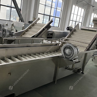 Geavanceerde industriële automatische groente- en fruitreinigingsmachine van RVS304 op maat gemaakt