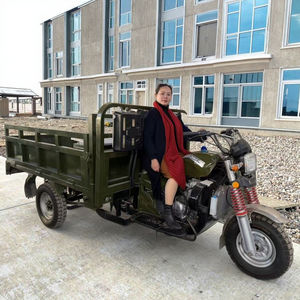 <span class=keywords><strong>Triciclo</strong></span> de Pasajeros de 3 Ruedas a Gasolina, Motor de 150cc, <span class=keywords><strong>Triciclo</strong></span> de Carga Agrícola, Nuevo - Product Image 4