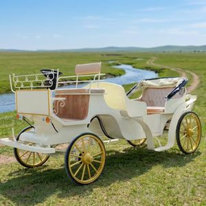Calèche électrique sans chevaux, calèches Victoria, calèche de Noël en plein air, calèche à LED, véhicule de mariage, calèche de cérémonie - Product Image 1