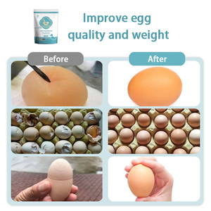 Aditivos Bio Earn para Alimento de Pollo, Polvo Vegetal, Mejorador de Calidad para Aves de Corral, Prolonga el Período de Puesta, Aminoácidos de Grado Alimenticio - Product Image 3