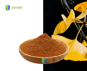 Offre Spéciale 10:1 qualité alimentaire <span class=keywords><strong>Ginkgo</strong></span> <span class=keywords><strong>Biloba</strong></span> extrait 30% flavonoïdes Lactones poudre extrait <span class=keywords><strong>de</strong></span> fines herbes certifié ISO durée <span class=keywords><strong>de</strong></span> conservation <span class=keywords><strong>de</strong></span> 2 ans - Product Image 2