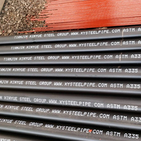Tubería de Acero sin Costura Xinyue Steel ASTM A53, Tipo de Superficie Negra para Construcción y Transporte de Agua
