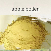 Fabriekslevering Actief Appelpollen 10 Gram 95% Zuiverheid Koudeketenlevering Voedingsmiddelenklasse Poeder voor Bestuiving