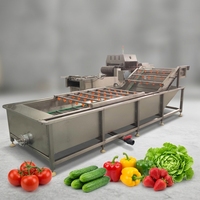 Hoog rendement automatische belletjeswasmachine / industriële reinigingsapparatuur voor fruit en groenten belletjeswasmachine