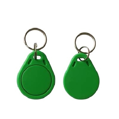 Customized 125Khz RFID Security T5577 Keychain/ Em4305 Key Tag RFID Key Fob