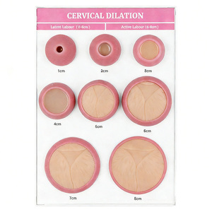 DARHMMY Geburtshilfe-Übungsmodell für die Gebärmutterhalsdilatation - 10 Modelle mit 1-10 cm Öffnung für Hebammenpraxis - Product Image 1
