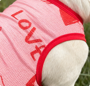 เสื้อกั๊กสุนัขเนื้อผ้ายืดหยุ่นสูง น้ำหนักเบา สำหรับฤดูร้อน ลายพิมพ์ I Love My Mommy แฟชั่นเสื้อผ้าสัตว์เลี้ยงพร้อมลายตัวอักษร - Product Image 3