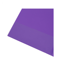 Carpeta de archivos de plástico de alta calidad Carpeta de archivos de clip A4 PP