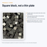 Bloc carré en céramique piézoélectrique PZT 4, 2,87 mm de haut, 2 mm de côté, 500 kHz, élément transducteur ultrasonique à électrode argentée