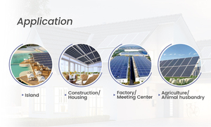 ราคาสมเหตุสมผล แผงโซลาร์เซลล์ 3kw 3000w 24v ระบบไฮบริดแบบออฟกริด 3kw GA-3024 อินเวอร์เตอร์พลังงานแสงอาทิตย์ - Product Image 6