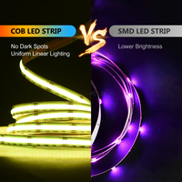 Bande LED COB 12V Haute Densité RVB avec Télécommande, Changement de Couleur, 10mm, 15W/m, 810 LED/m