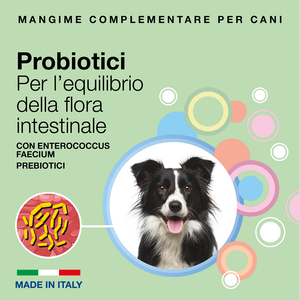 Vet Nutrition Supplément probiotique pour chiens restaurer la flore endommagée Supplément de soins de santé pour chiens - Product Image 2