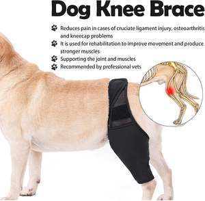 Rodillera para Perros de Fábrica para Lesiones de LCA en Patas Traseras, Rodilleras para Mascotas, Protector de Codo para Perros, Soporte para Lesiones en las Patas, Soporte para Articulación del Muslo, Rodillera para Perros - Product Image 6