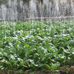 灌漑システムレインホースレインスプレーテープ農場および庭用灌漑マイクロ点滴灌漑システム - Product Image 3