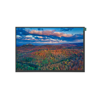 Écran LCD 1280*800 10.1 pouces A-Si TFT matrice active RGB 600 luminosité L'interface LVDS peut être équipée d'un écran tactile Microtech