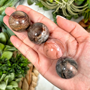ลูกบอลหินฟอสซิลขัดเงาจากไม้กลายเป็นหินธรรมชาติสำหรับตกแต่งบ้าน ขายส่ง - Product Image 2