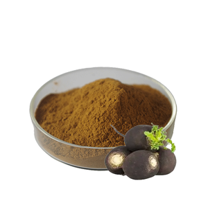 Kapsul suplemen Label pribadi kapsul ekstrak akar lobak hitam kapsul ekstrak lobak hitam - Product Image 2