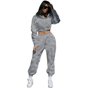 Ensemble de sweat-shirt à capuche en polaire doublé Alxin sur mesure, taille plus, automne, manches longues, sportif, décontracté, deux pièces, ensembles pour femmes - Product Image 2