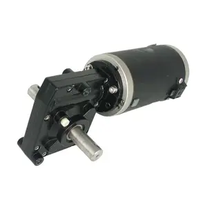 Dual As Elektrische Dc Motor 500Kg Capaciteit 12V 24V 400W 500W Wormwiel Motor