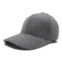 Chapeaux de baseball en feutre de laine d'hiver de haute qualité pour hommes et femmes casquettes de tissu imprimé de sport blanc chaud avec Logo en caoutchouc en gros