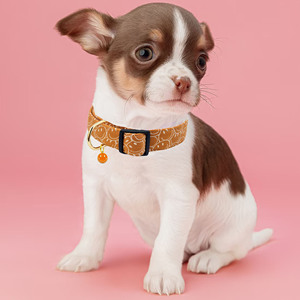 Collar de perro hecho a mano de algodón, patrones lindos y distintivos, cara sonriente blanca y naranja con colgante para niña, niño, perros, collares - Product Image 4