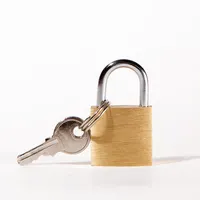 Nhà Máy Bán Buôn Brass Padlock Du Lịch Hành Lý Key Lock