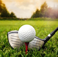 Balise de golf RFID UHF avec puce, comptage intelligent du golf, positionnement