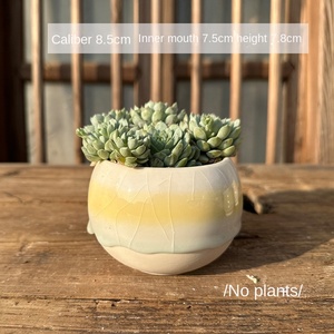OEM/ODM Venta al por mayor Popular Maceta de cerámica para plantas suculentas con efecto craquelado, transpirable, pequeña, de porcelana artesanal, tipo jardín - Product Image 5